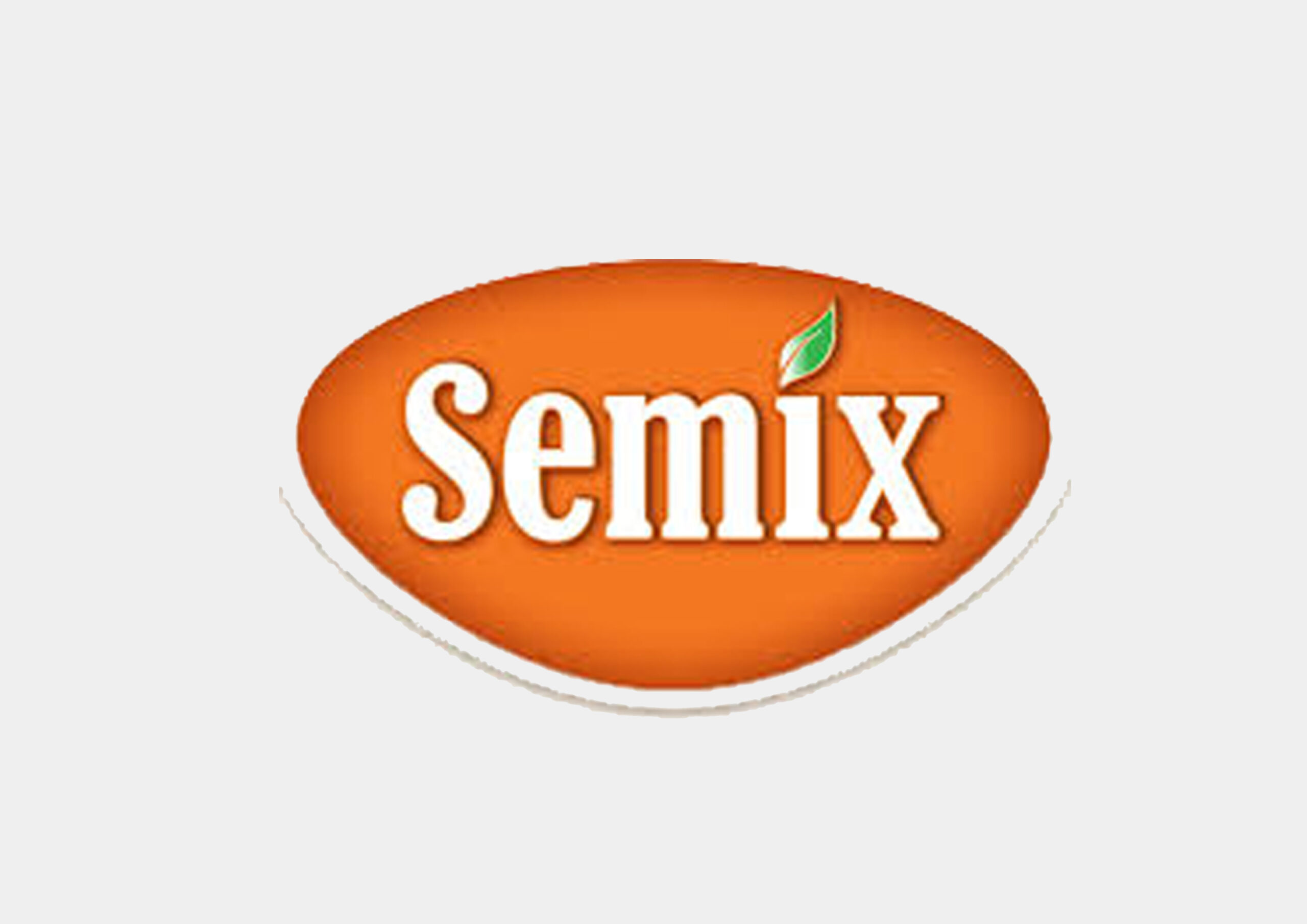 logo semix
